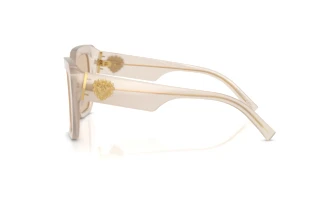 Seitenansicht Dolce & Gabbana DG4538 (342093)