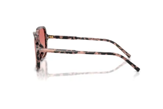 Seitenansicht Dolce & Gabbana DG4539 (3476A5)