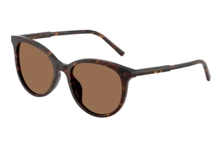 Vorderansicht Dolce & Gabbana DG4540 (502/13)