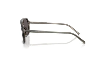 Seitenansicht Dolce & Gabbana DG4541 (347987)