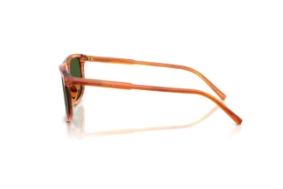 Seitenansicht Dolce & Gabbana DG4542 (348371)