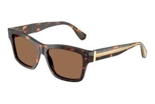 Vorderansicht Dolce & Gabbana DG4559 (502/73)