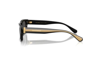 Seitenansicht Dolce & Gabbana DG4560 (501/87)