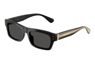 Vorderansicht Dolce & Gabbana DG4560 (501/87)