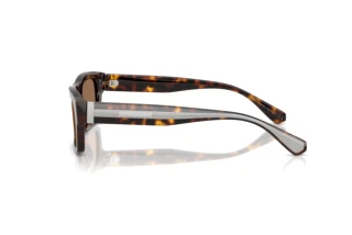 Seitenansicht Dolce & Gabbana DG4560 (502/73)