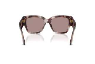 Rückansicht Dolce & Gabbana DG4563 (3498LA)