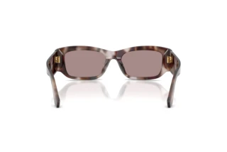 Rückansicht Dolce & Gabbana DG4564 (3498LA)