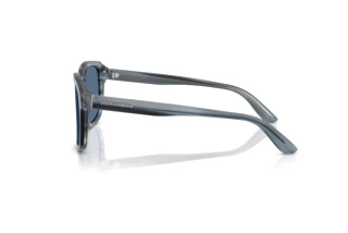 Seitenansicht Dolce & Gabbana DG4566 (348280)