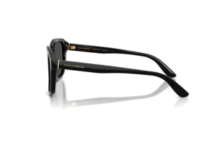 Seitenansicht Dolce & Gabbana DG4566 (501/87)