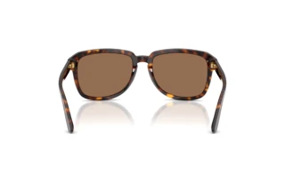 Rückansicht Dolce & Gabbana DG4566 (502/73)