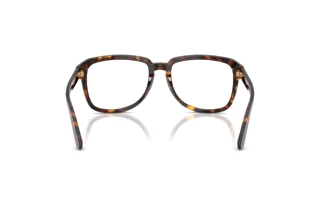 Rückansicht Dolce & Gabbana DG4566 (502/SB)