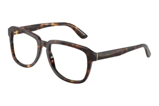 Vorderansicht Dolce & Gabbana DG4566 (502/SB)