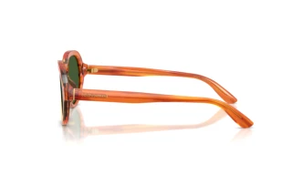 Seitenansicht Dolce & Gabbana DG4567 (348371)