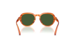 Rückansicht Dolce & Gabbana DG4567 (348371)