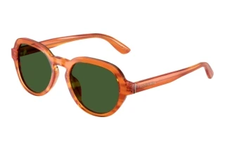 Vorderansicht Dolce & Gabbana DG4567 (348371)