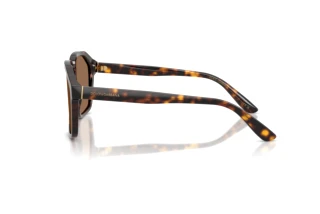 Seitenansicht Dolce & Gabbana DG4568 (502/73)