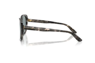 Seitenansicht Dolce & Gabbana DG4569 (3172/1)