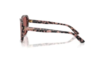 Seitenansicht Dolce & Gabbana DG4569 (347669)