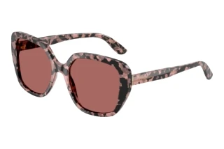 Vorderansicht Dolce & Gabbana DG4569 (347669)