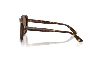 Seitenansicht Dolce & Gabbana DG4569 (502/73)