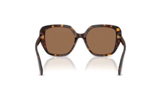 Rückansicht Dolce & Gabbana DG4569 (502/73)