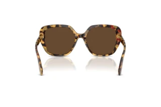 Rückansicht Dolce & Gabbana DG4569 (512/73)