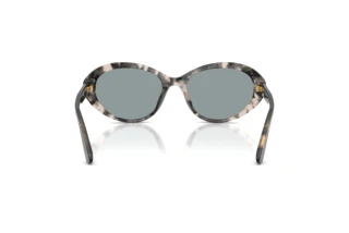 Rückansicht Dolce & Gabbana DG4570 (3172/1)