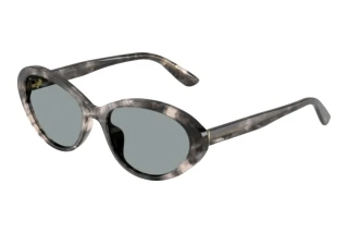Vorderansicht Dolce & Gabbana DG4570 (3172/1)