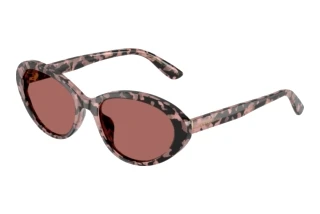 Vorderansicht Dolce & Gabbana DG4570 (347669)