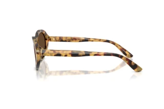 Seitenansicht Dolce & Gabbana DG4570 (512/73)