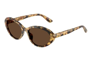 Vorderansicht Dolce & Gabbana DG4570 (512/73)