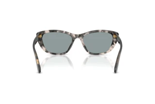 Rückansicht Dolce & Gabbana DG4571 (3172/1)