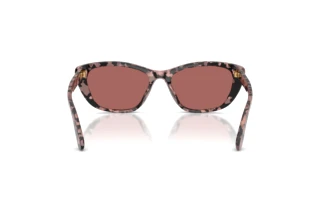 Rückansicht Dolce & Gabbana DG4571 (347669)
