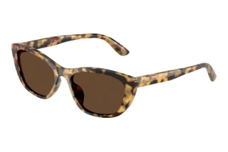 Vorderansicht Dolce & Gabbana DG4571 (512/73)