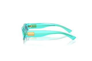 Seitenansicht Dolce & Gabbana DX4005 (332280)