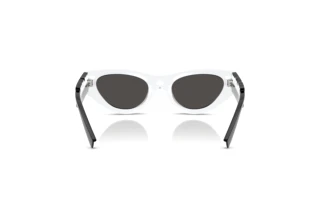 Rückansicht Dolce & Gabbana DX6012 (345787)