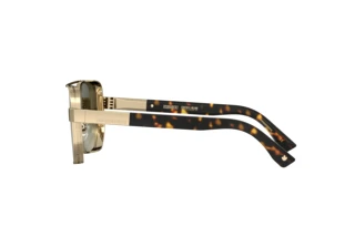 Seitenansicht Dsquared2 D2 0083/S (06J/9K)