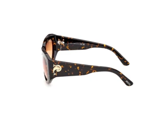 Seitenansicht Emilio Pucci EP0241 (52F)