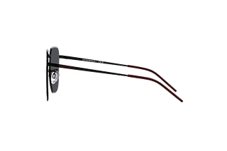 Seitenansicht Emporio Armani EA2135D (319187)