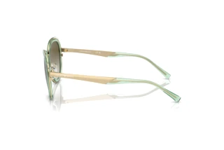 Seitenansicht Emporio Armani EA2146 (33638E)