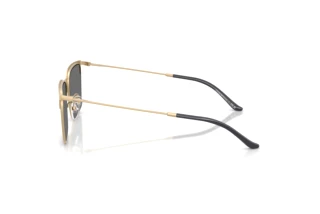 Seitenansicht Emporio Armani EA2164D (30026G)