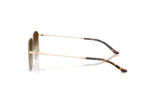 Seitenansicht Emporio Armani EA2165D (300213)