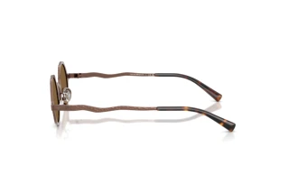 Seitenansicht Emporio Armani EA2166 (300473)