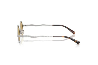 Seitenansicht Emporio Armani EA2166 (3015/2)