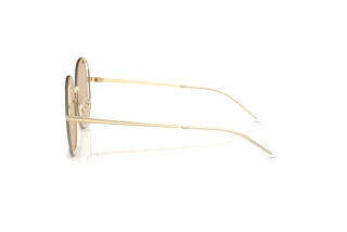 Seitenansicht Emporio Armani EA2168 (301393)