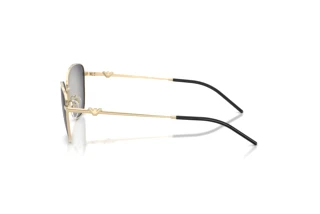 Seitenansicht Emporio Armani EA2170 (30138G)