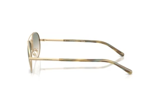 Seitenansicht Emporio Armani EA2171 (30022C)