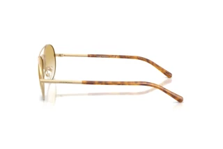 Seitenansicht Emporio Armani EA2171 (30022Q)