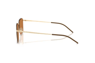 Seitenansicht Emporio Armani EA2172D (301373)