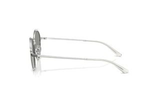 Seitenansicht Emporio Armani EA2177 (3003/1)